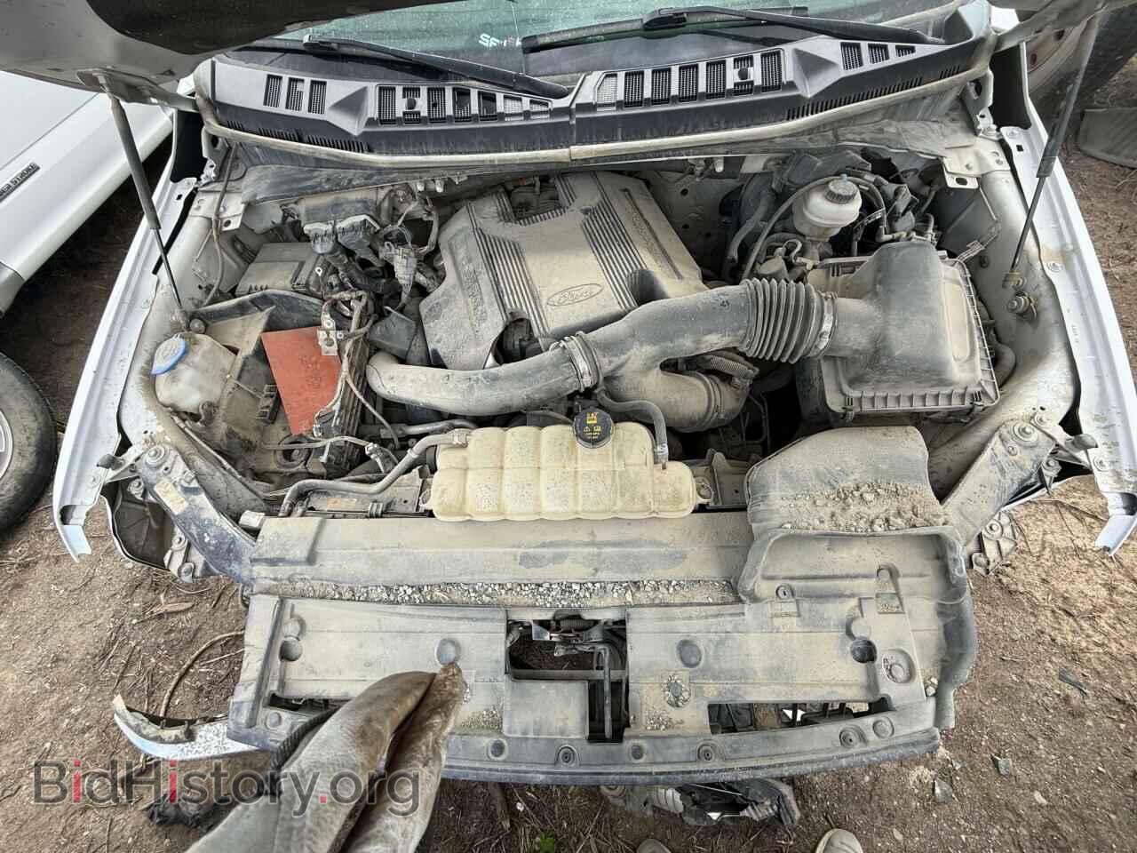 2019 FORD F-150 - VIN: 1FTEW1E48KFB70600 - Фото 5