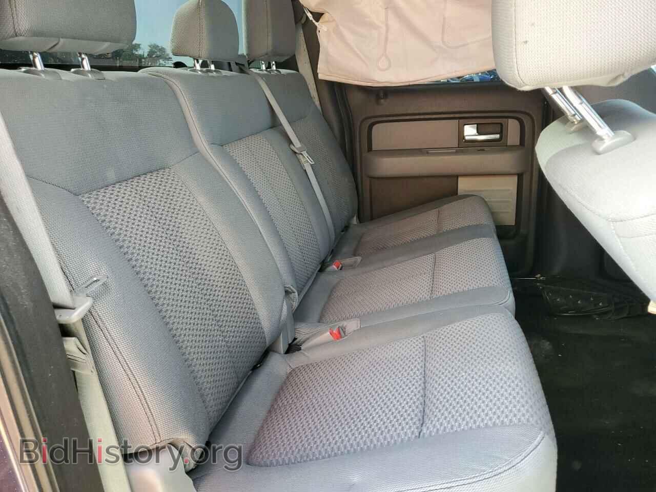 2013 FORD F-150 - VIN: 1FTEW1CM8DFA41908 - Photo 10