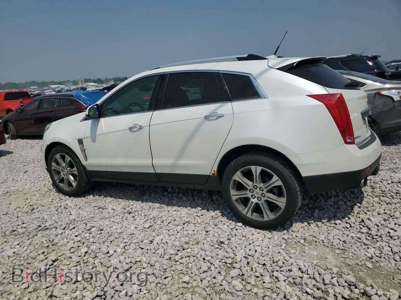 2012 CADILLAC SRX - VIN: 3GYFNFE32CS659108 - Фото 2