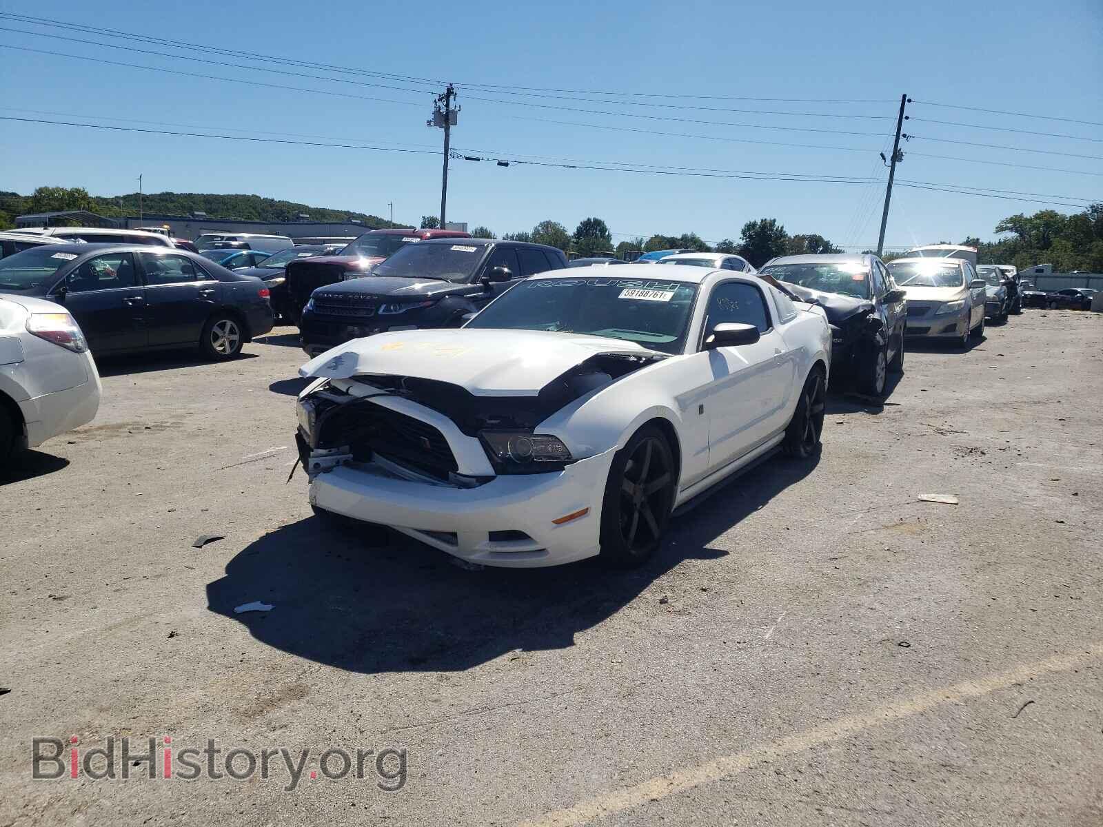2013 FORD MUSTANG - VIN: 1ZVBP8AM9D5230310 - Фото 2