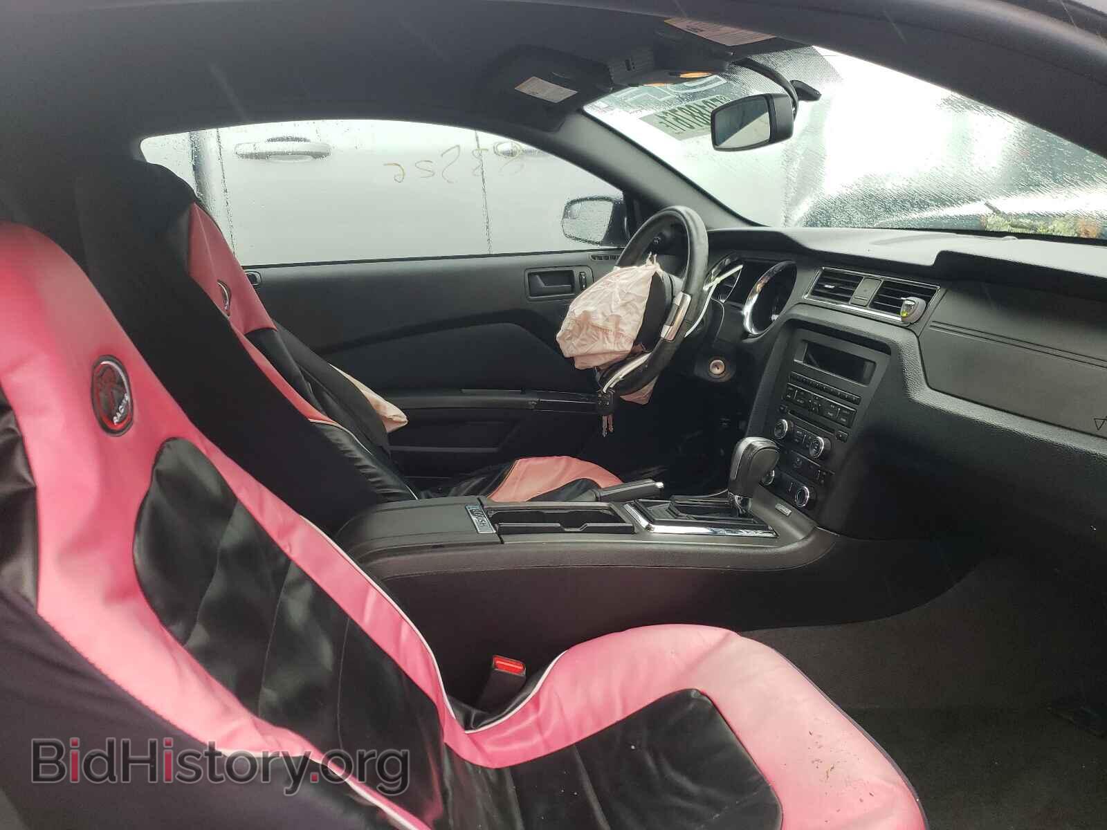 2013 FORD MUSTANG - VIN: 1ZVBP8AM9D5230310 - Фото 5