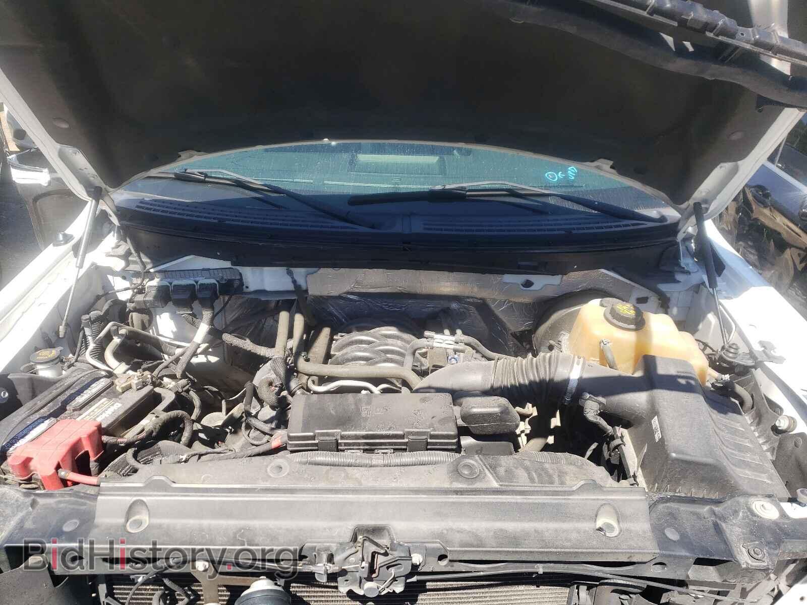 2013 FORD F150 - VIN: 1FTMF1CF3DFA30196 - Фото 7
