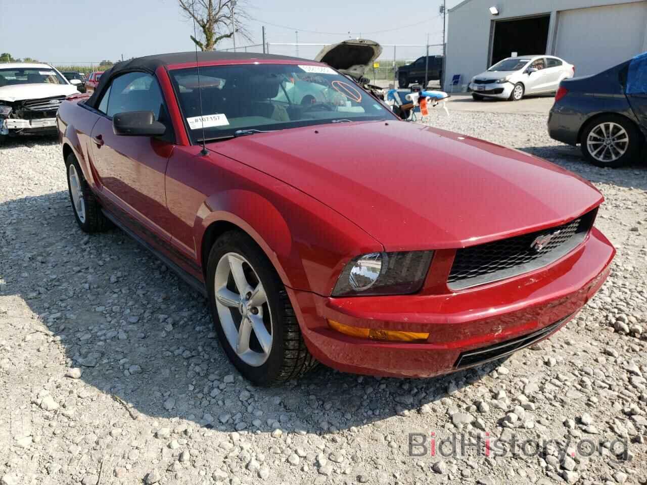 Photo 1ZVHT84N485203757 - FORD MUSTANG 2008