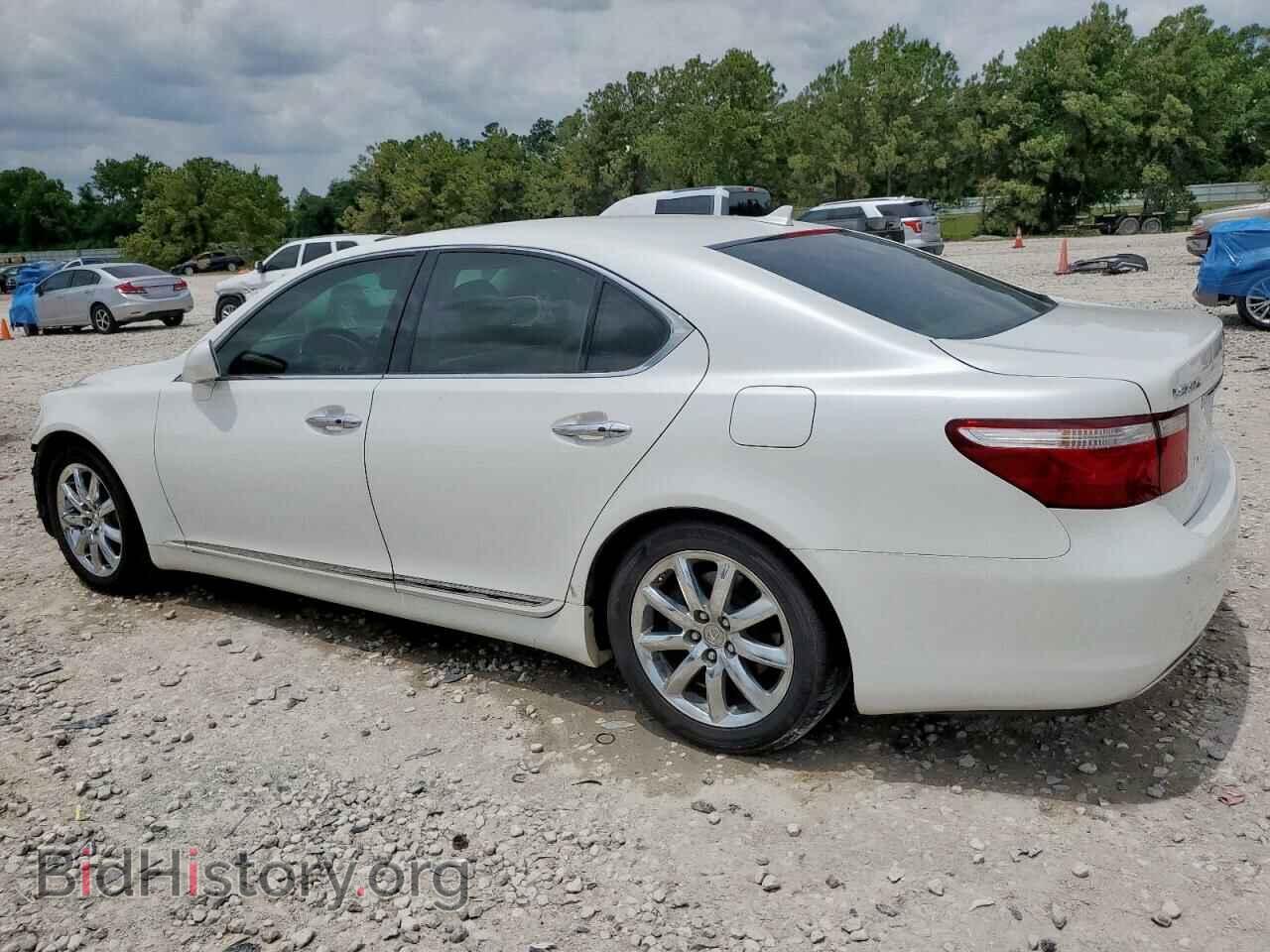 2007 LEXUS LS460 - VIN: JTHBL46F175046208 - Фото 2
