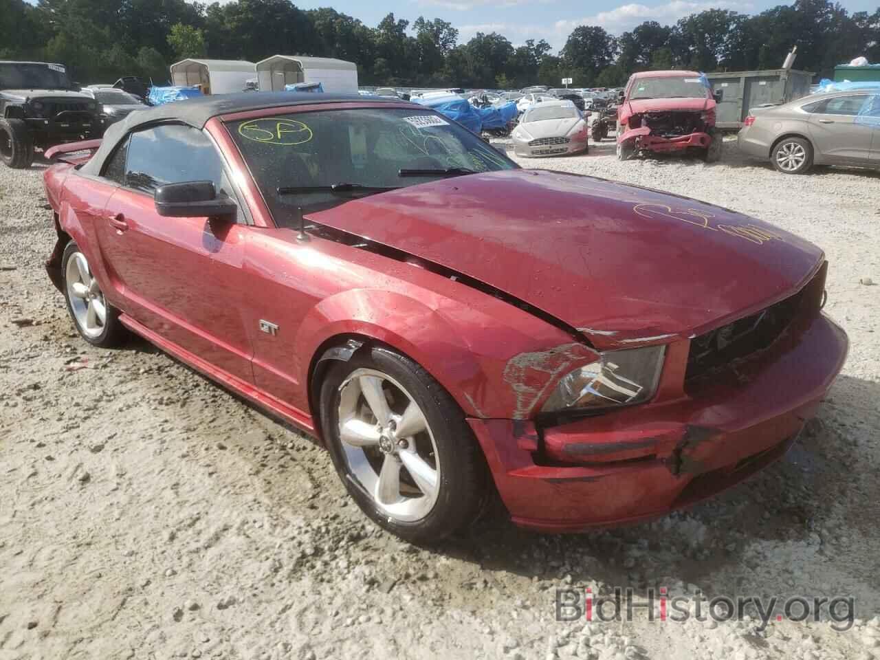 Photo 1ZVFT85H765259849 - FORD MUSTANG 2006