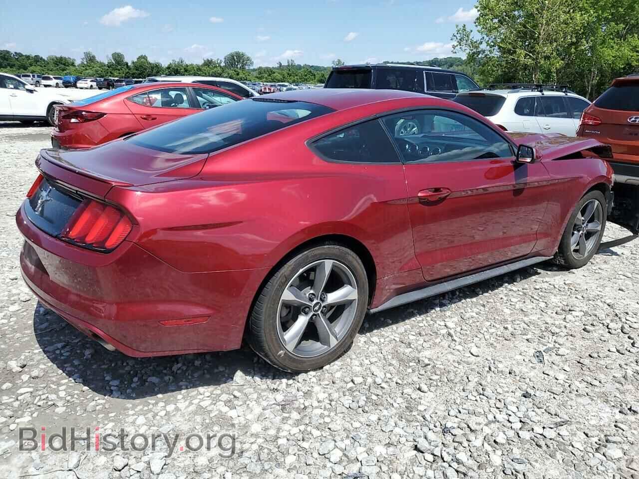 2016 FORD ALL Models - VIN: 1FA6P8AM8G5293123 - Фото 3