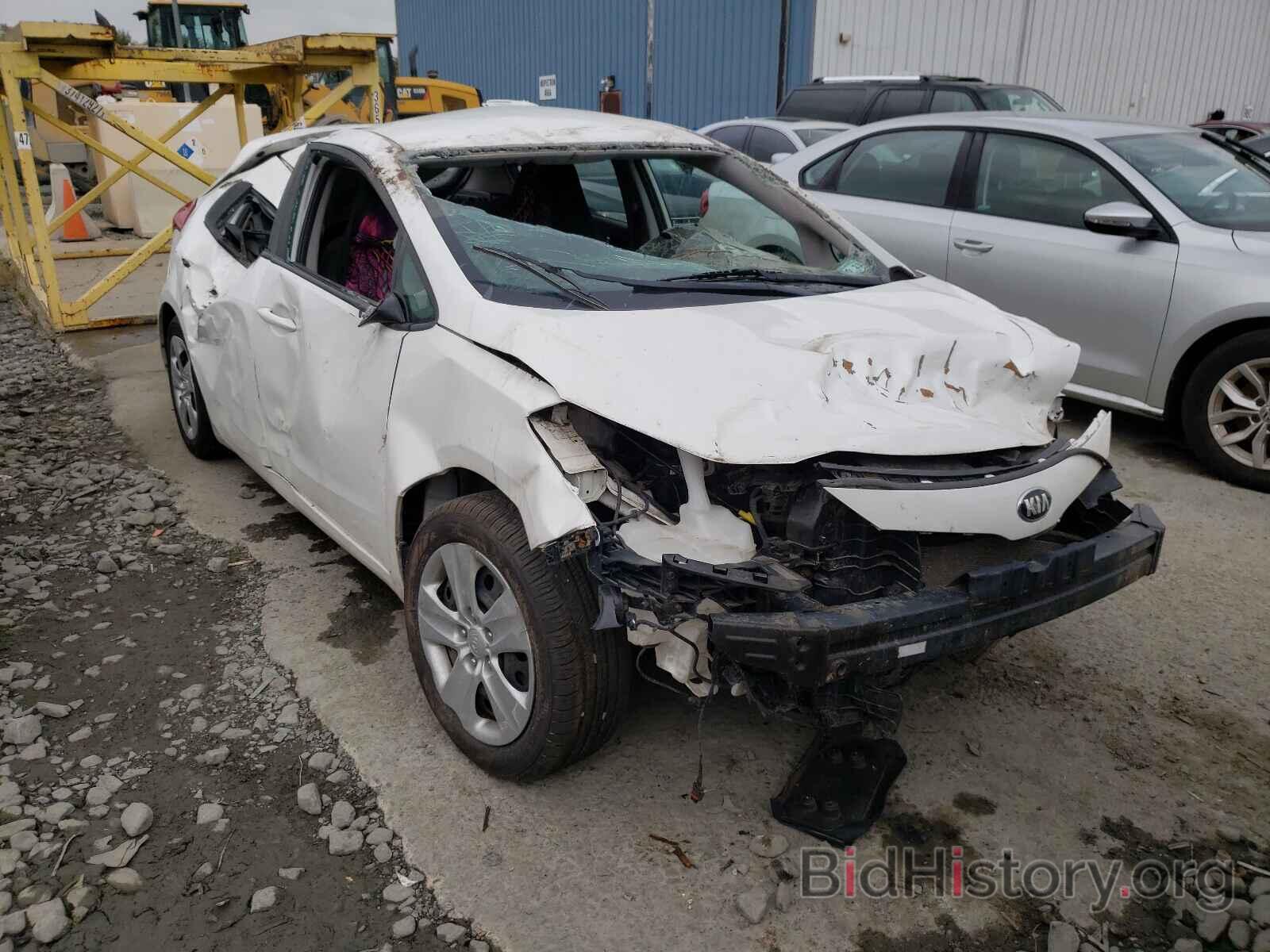 Photo KNAFK5A85G5584069 - KIA FORTE 2016