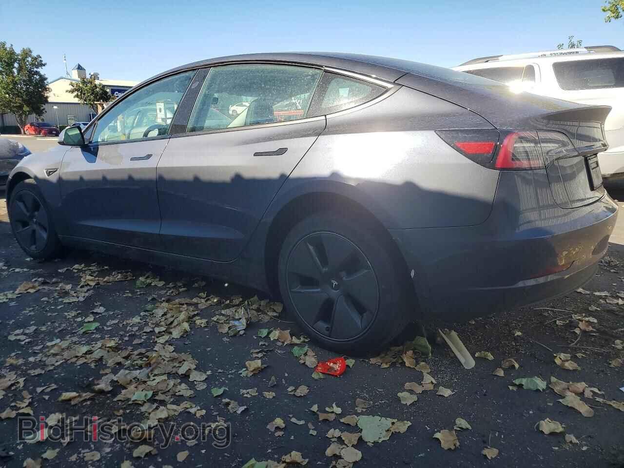 2023 TESLA MODEL 3 - VIN: 5YJ3E1EA6PF419259 - Photo 2