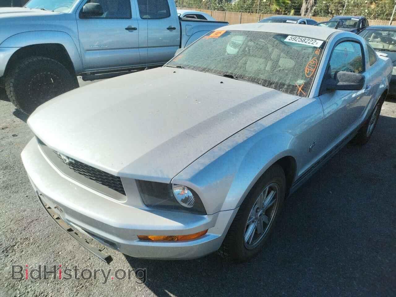 2009 FORD MUSTANG - VIN: 1ZVHT80N595100449 - Фото 2