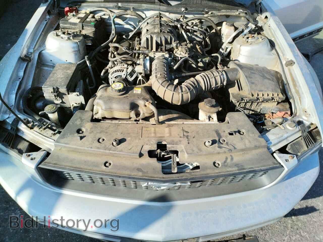 2009 FORD MUSTANG - VIN: 1ZVHT80N595100449 - Фото 7