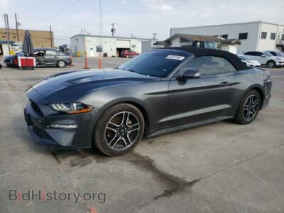2019 Ford ALL MODELS Mustang, gray — VIN 1FATP8UH8K5170643, Copart