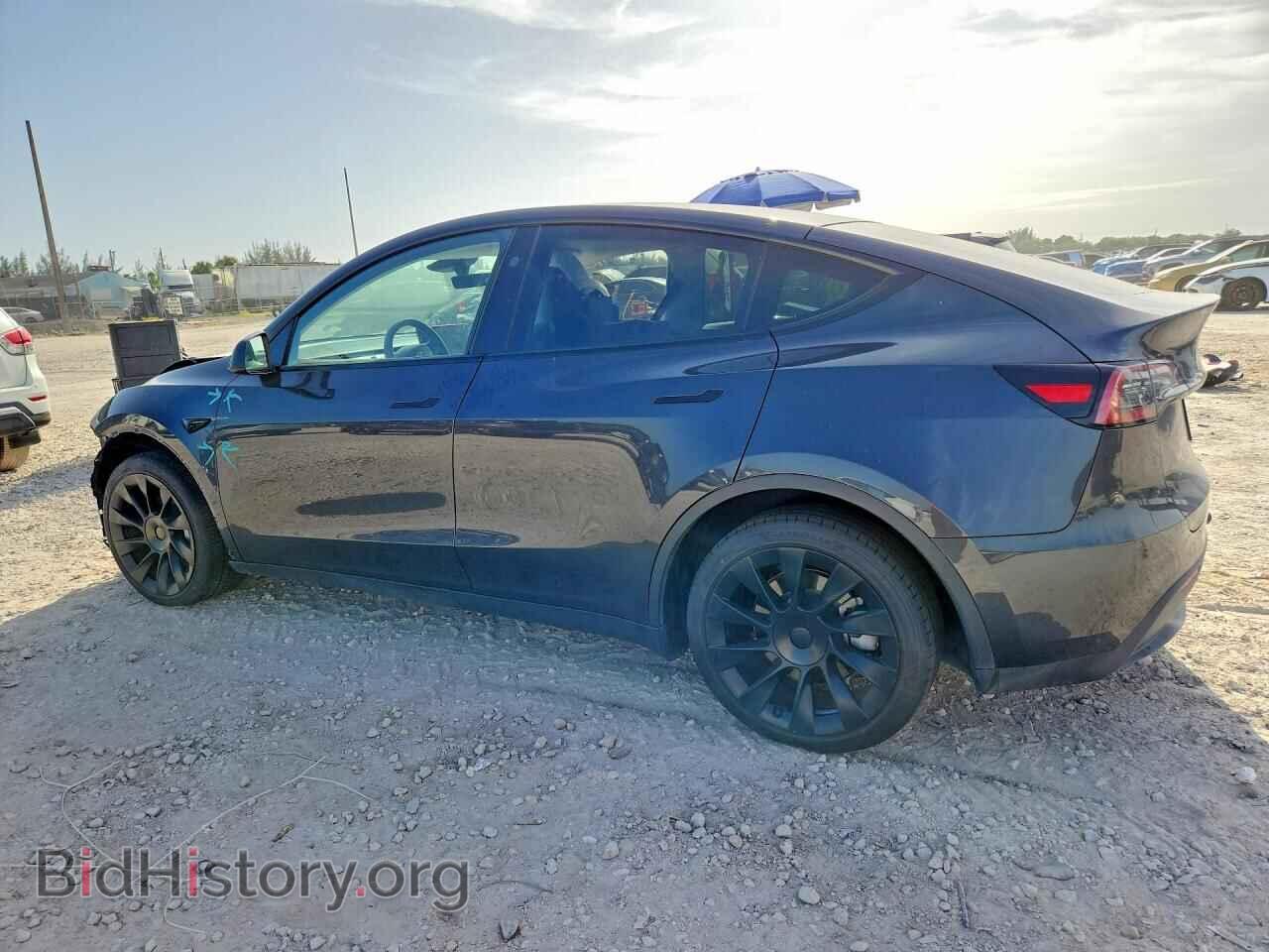 2024 TESLA MODEL Y - VIN: 7SAYGDED1RF009051 - Photo 2