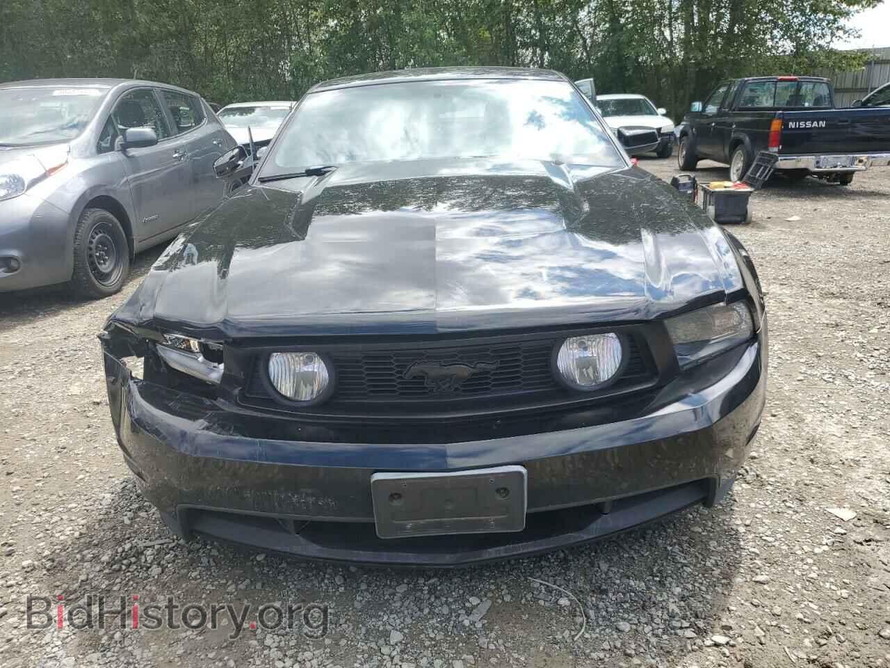 2010 FORD MUSTANG - VIN: 1ZVBP8CH9A5148573 - Фото 5