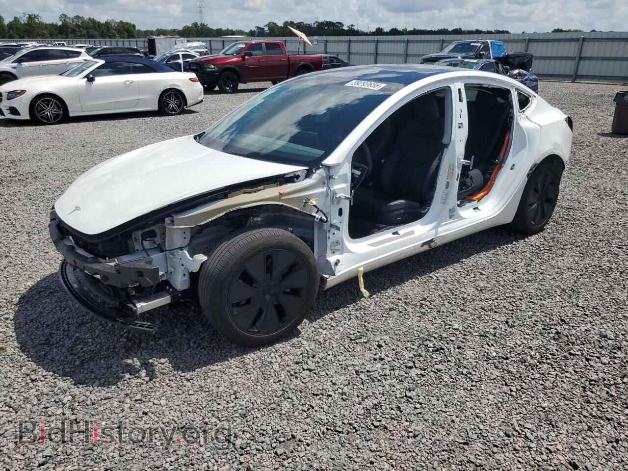 Photo 5YJ3E1EA5RF756458 - TESLA MODEL 3 2024