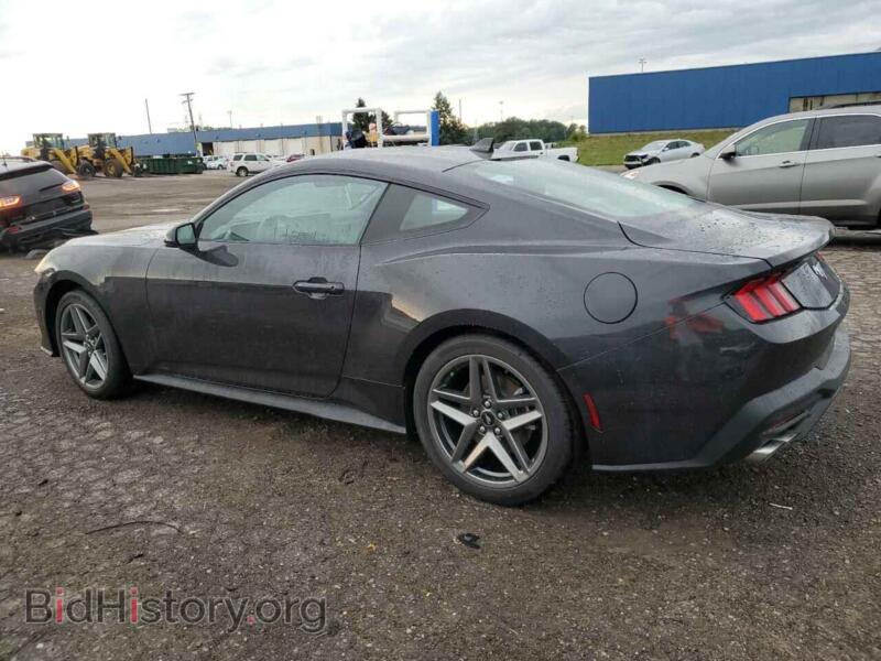 2024 Ford ALL MODELS (VIN 1FA6P8TH1R5135791) — фото 2 из 12