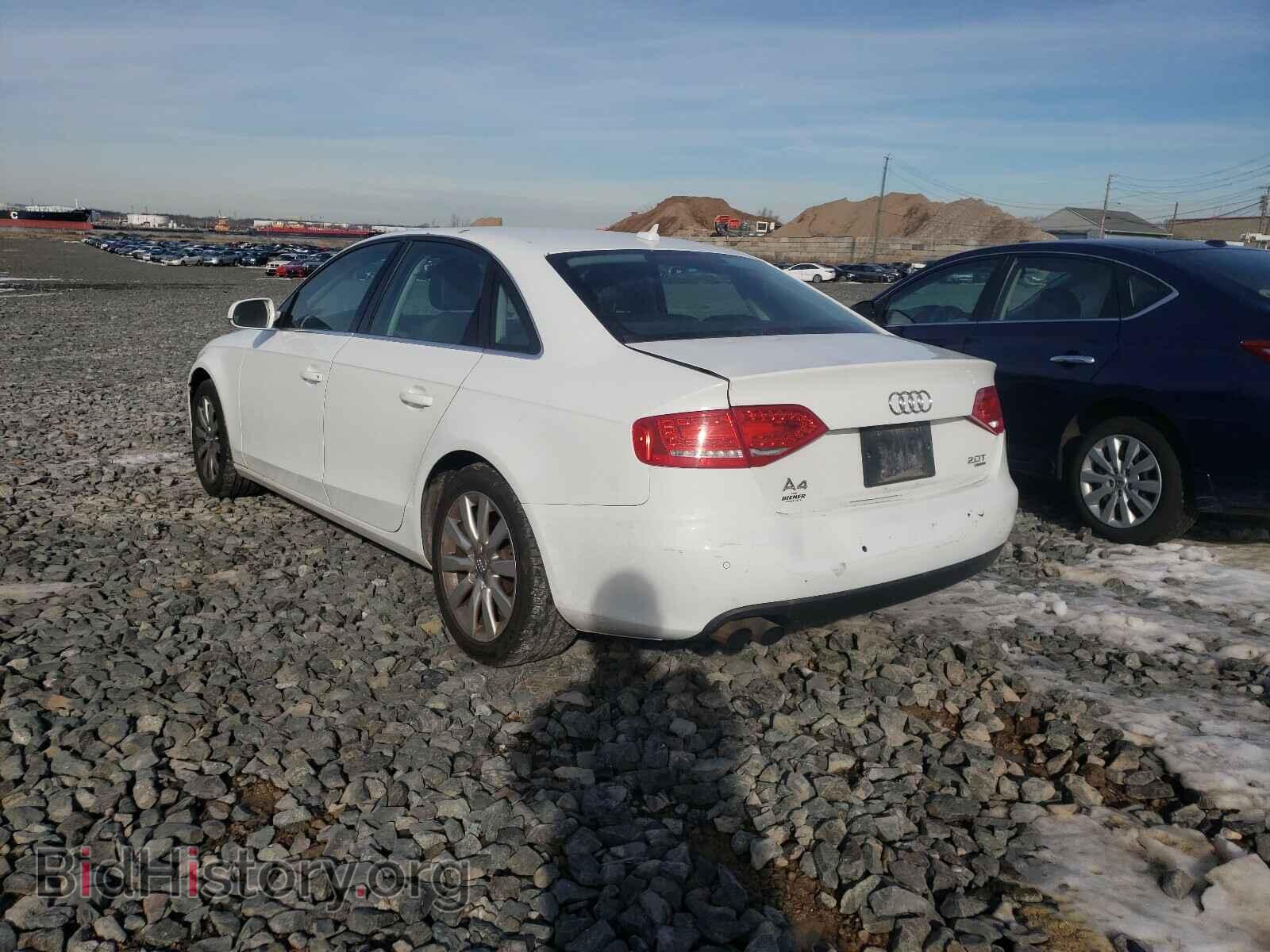 2010 AUDI A4 - VIN: WAUHFAFL7AN006100 - Фото 3