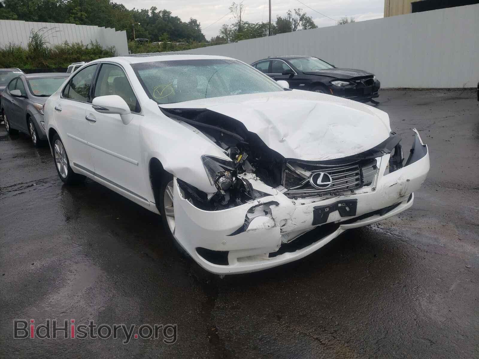 Фотография JTHBK1EG2C2503891 - LEXUS ES350 2012