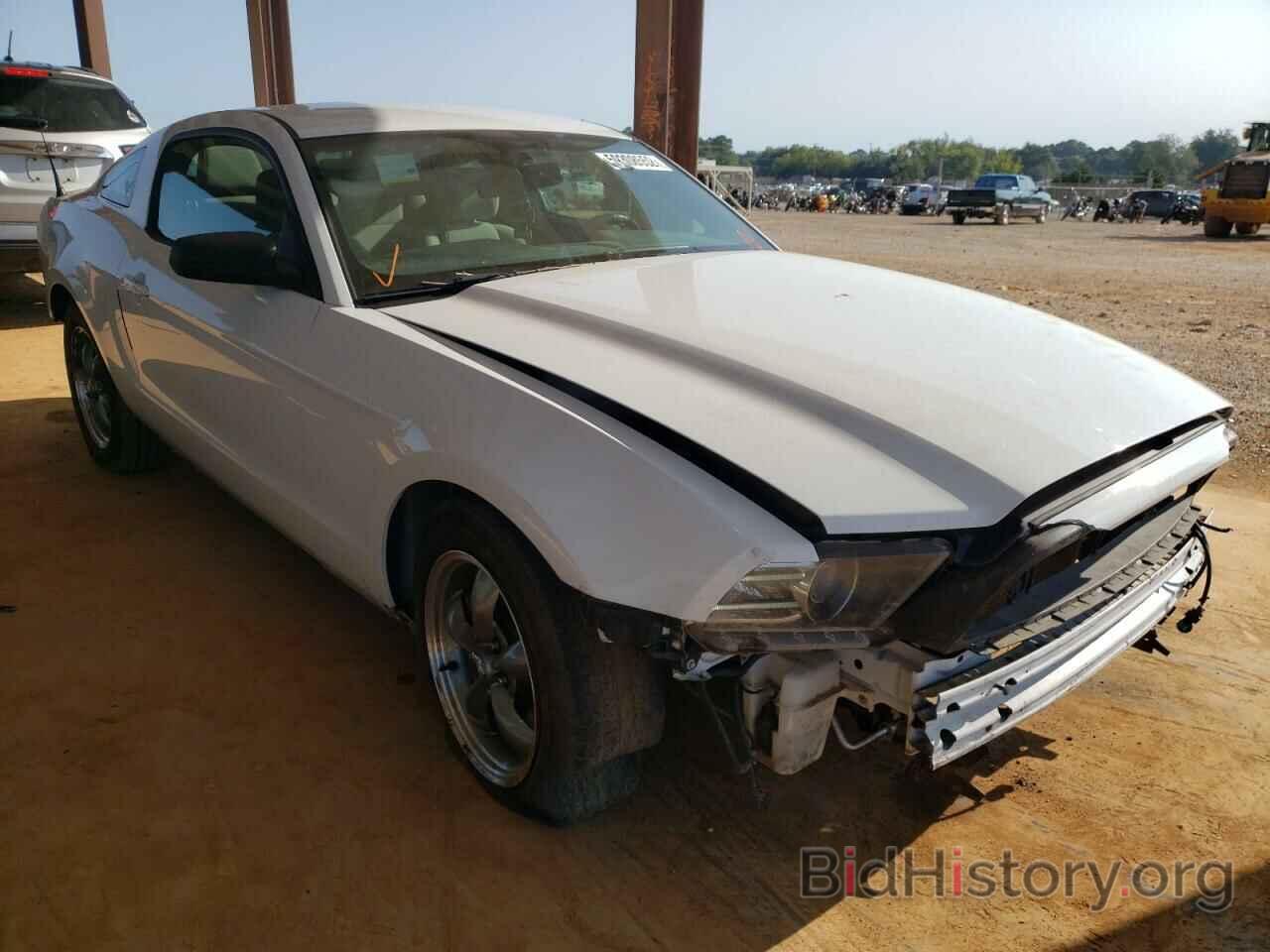 Photo 1ZVBP8AM3E5328881 - FORD MUSTANG 2014