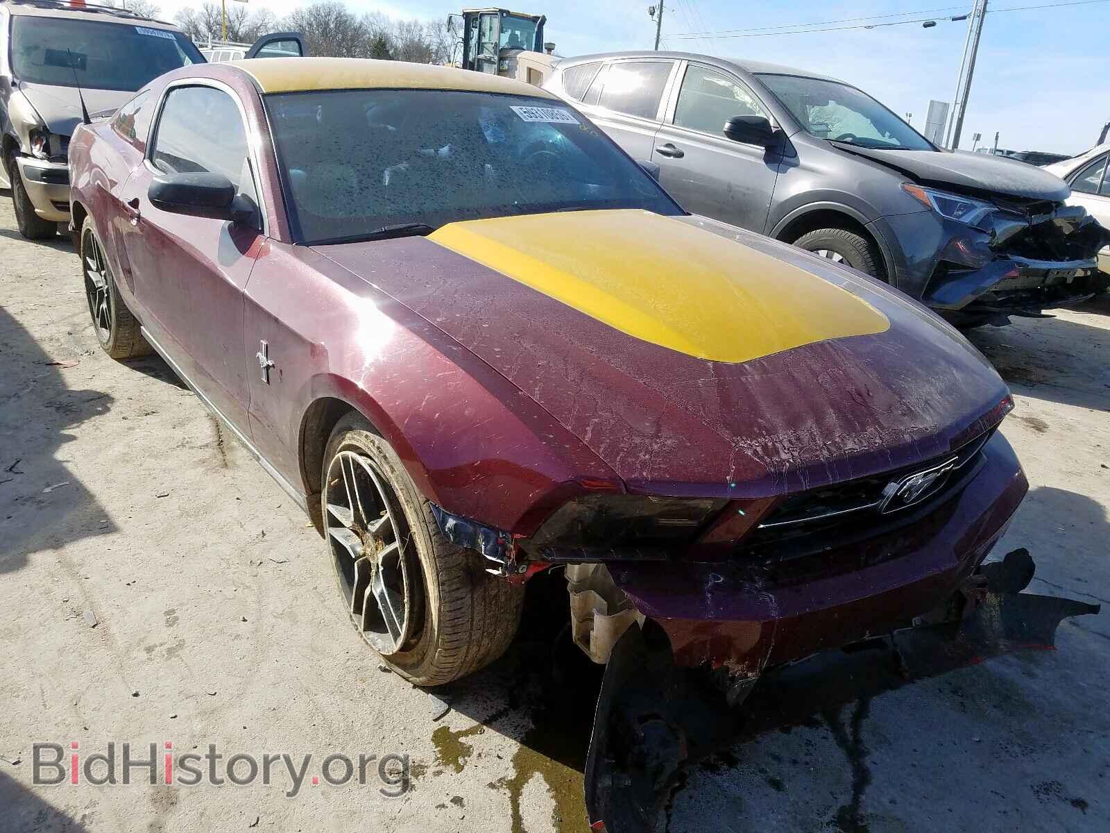 Фотография 1ZVBP8AM2C5226419 - FORD MUSTANG 2012