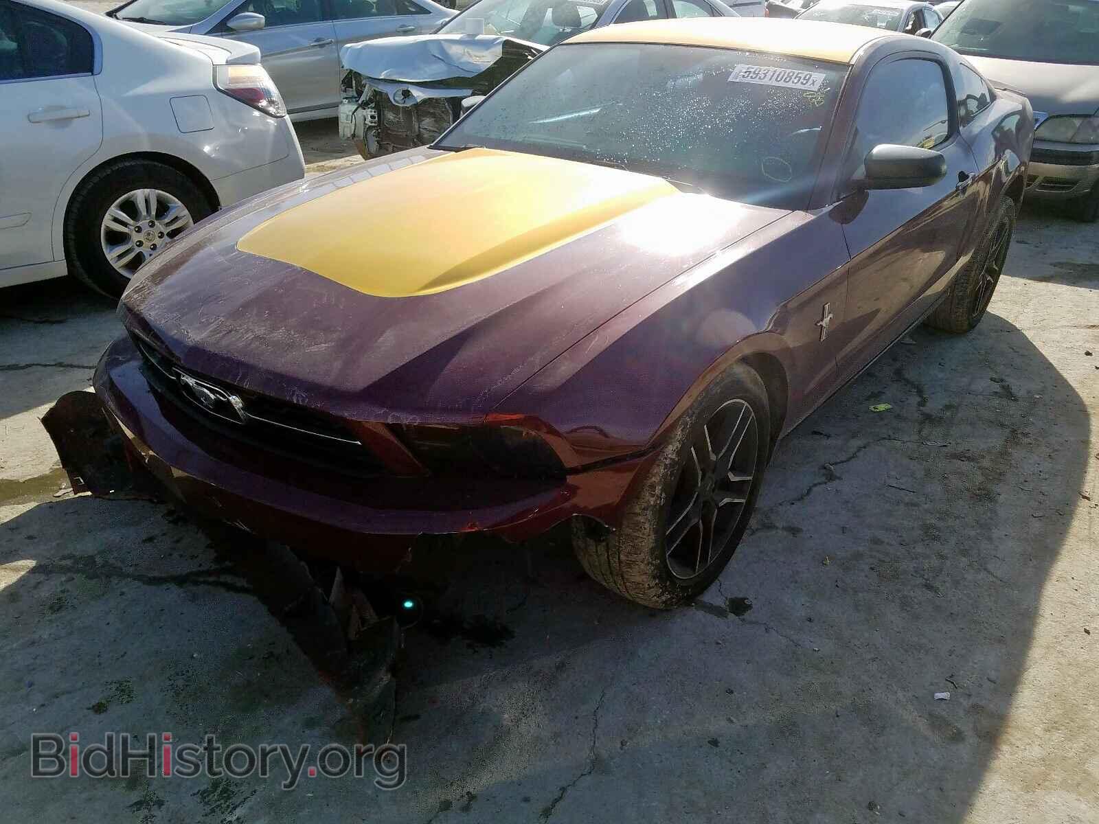 2012 FORD MUSTANG - VIN: 1ZVBP8AM2C5226419 - Фото 2