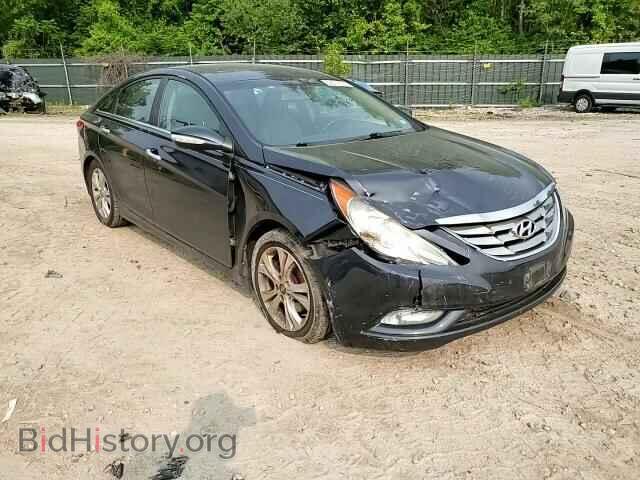 2013 HYUNDAI SONATA - VIN: 5NPEC4AC2DH611976 - Фото 13