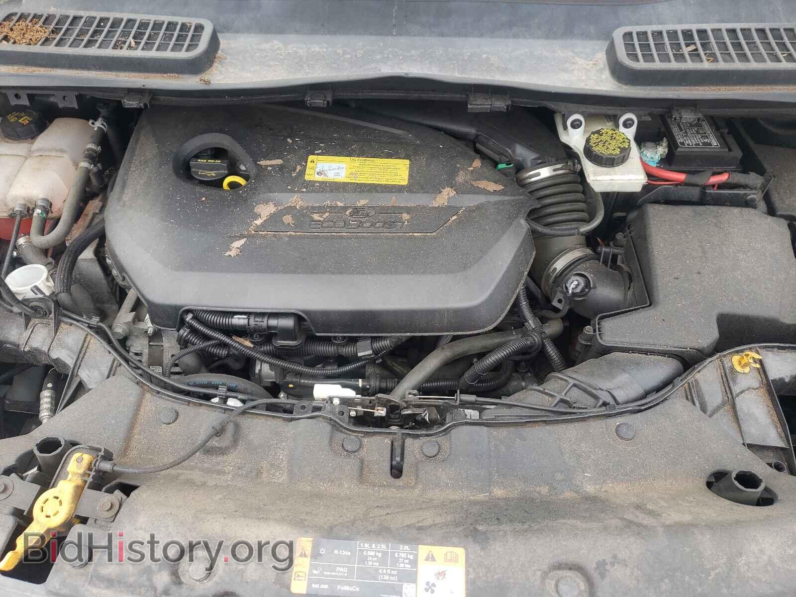 2014 FORD ESCAPE - VIN: 1FMCU0GX4EUB68904 - Фото 7