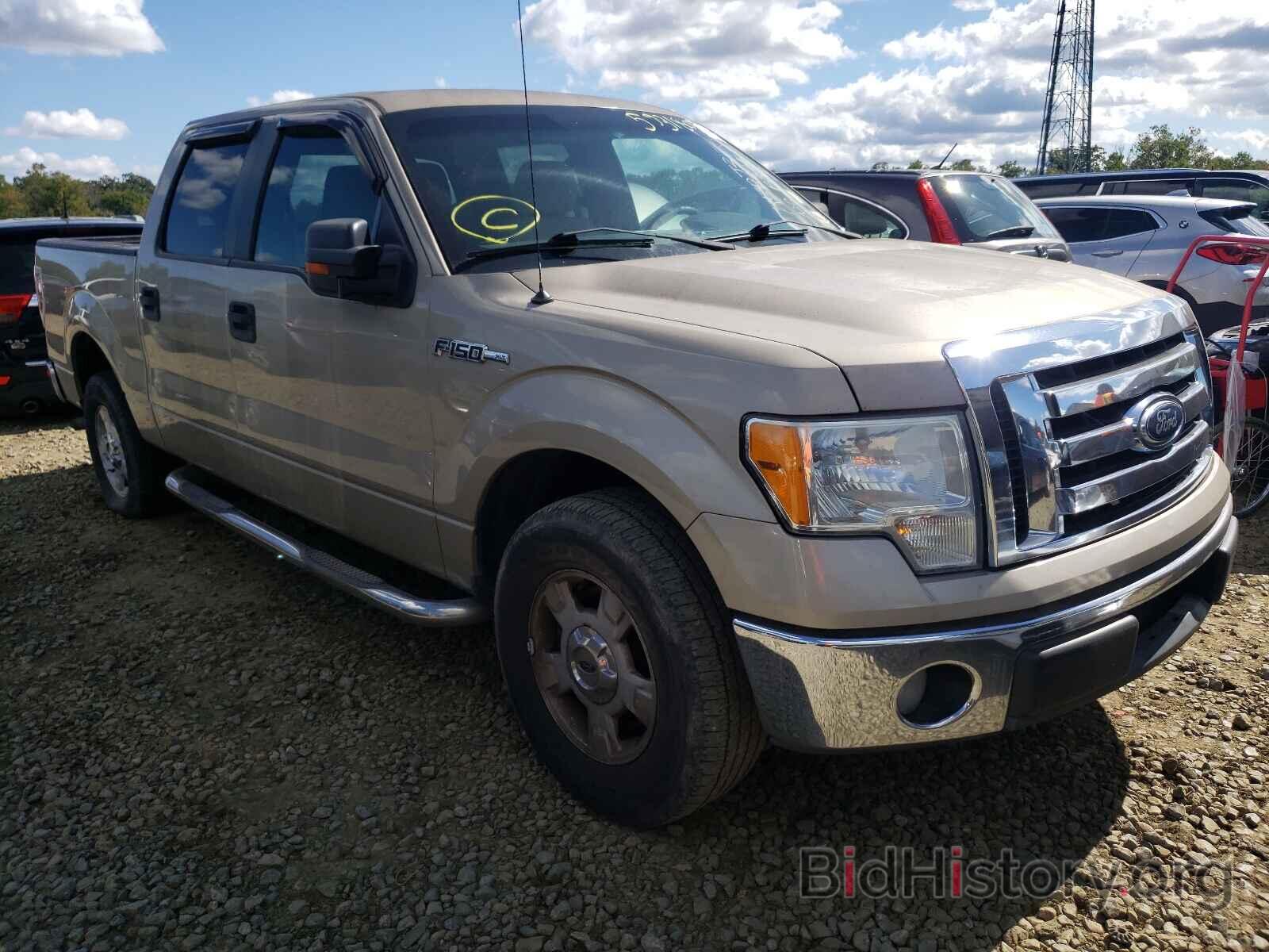 Photo 1FTEW1C8XAKE72157 - FORD F-150 2010