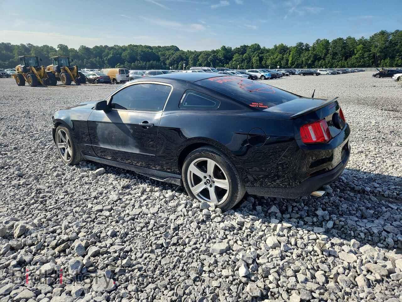 2012 FORD MUSTANG - VIN: 1ZVBP8AMXC5264495 - Photo 2