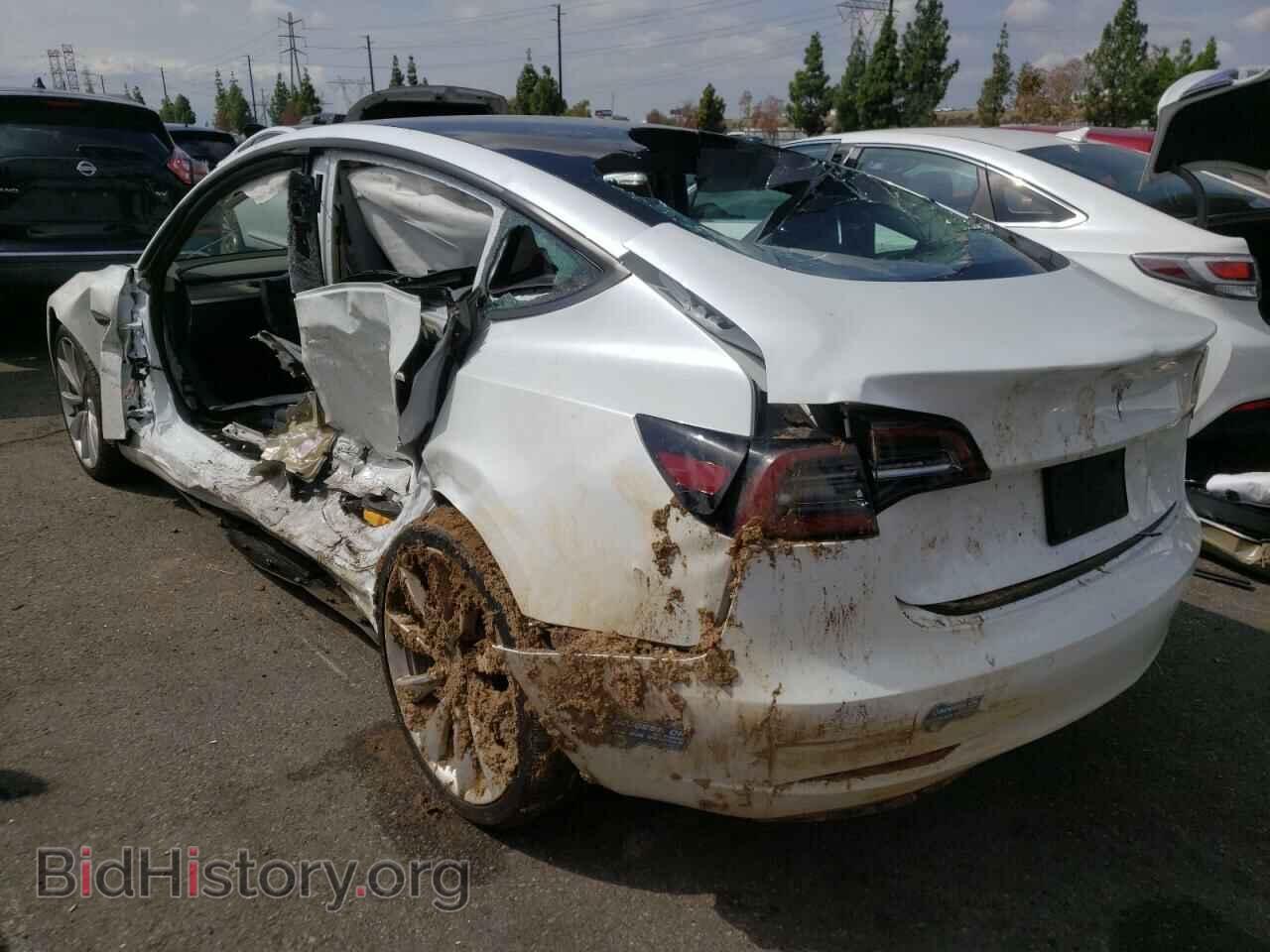 2021 TESLA MODEL 3 - VIN: 5YJ3E1EA5MF002159 - Фото 3