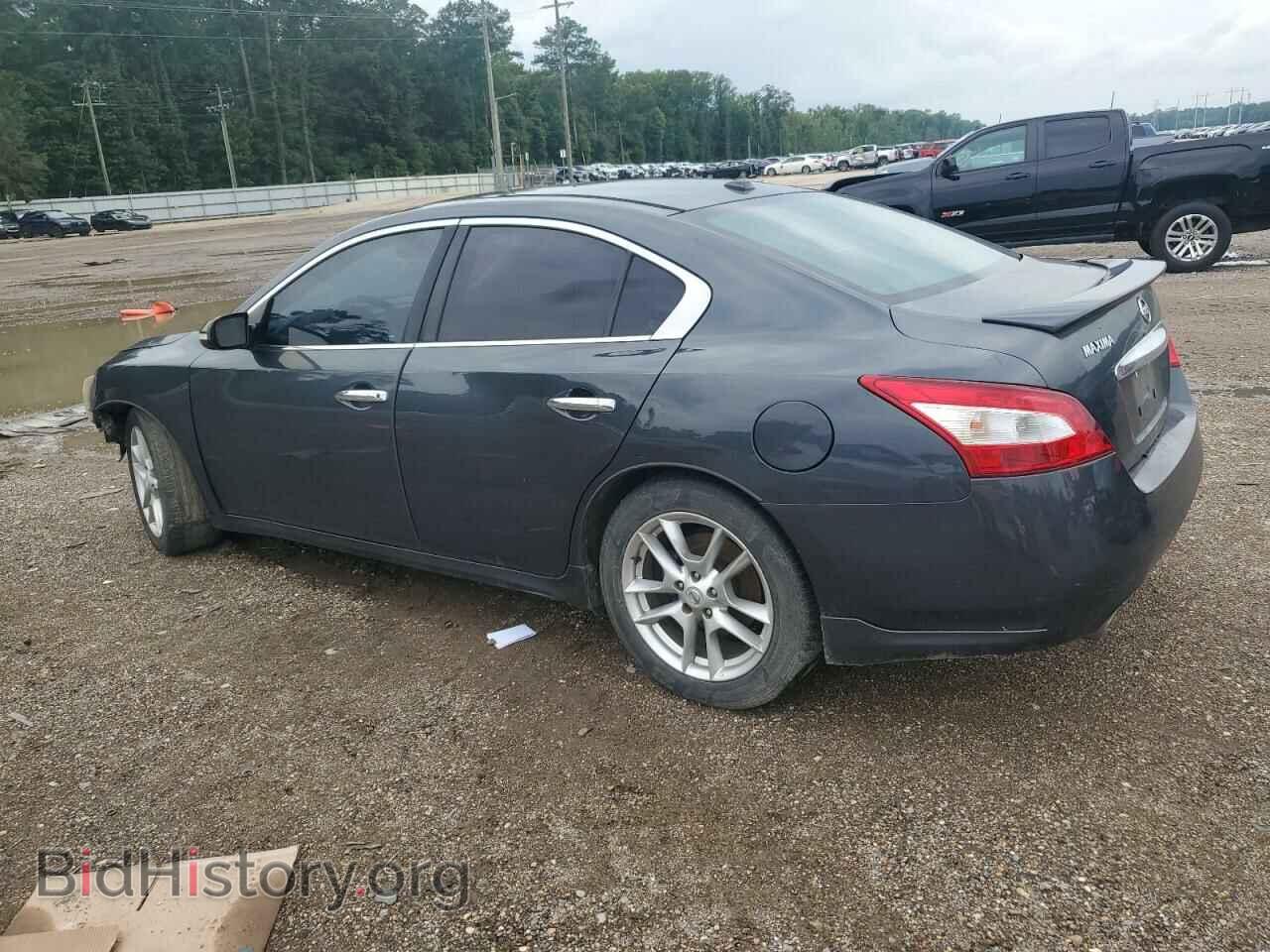 2011 NISSAN MAXIMA - VIN: 1N4AA5AP3BC809266 - Фото 2