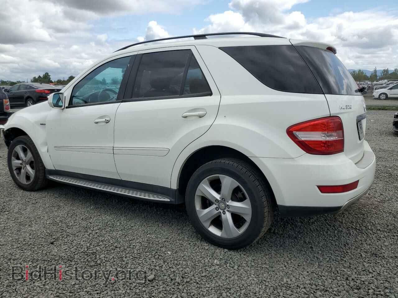 2009 MERCEDES-BENZ M-CLASS - VIN: 4JGBB25EX9A510278 - Фото 2