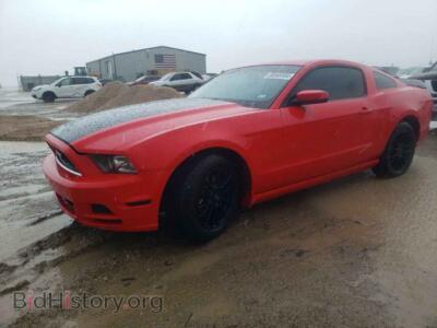 2013 Ford ALL MODELS, красный — VIN 1ZVBP8AM0D5227599, Copart