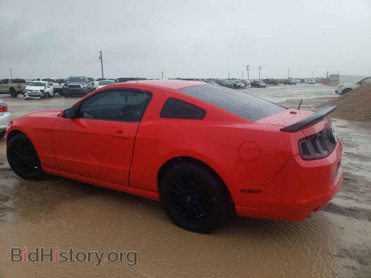 2013 FORD ALL Models - VIN: 1ZVBP8AM0D5227599 - Фото 2