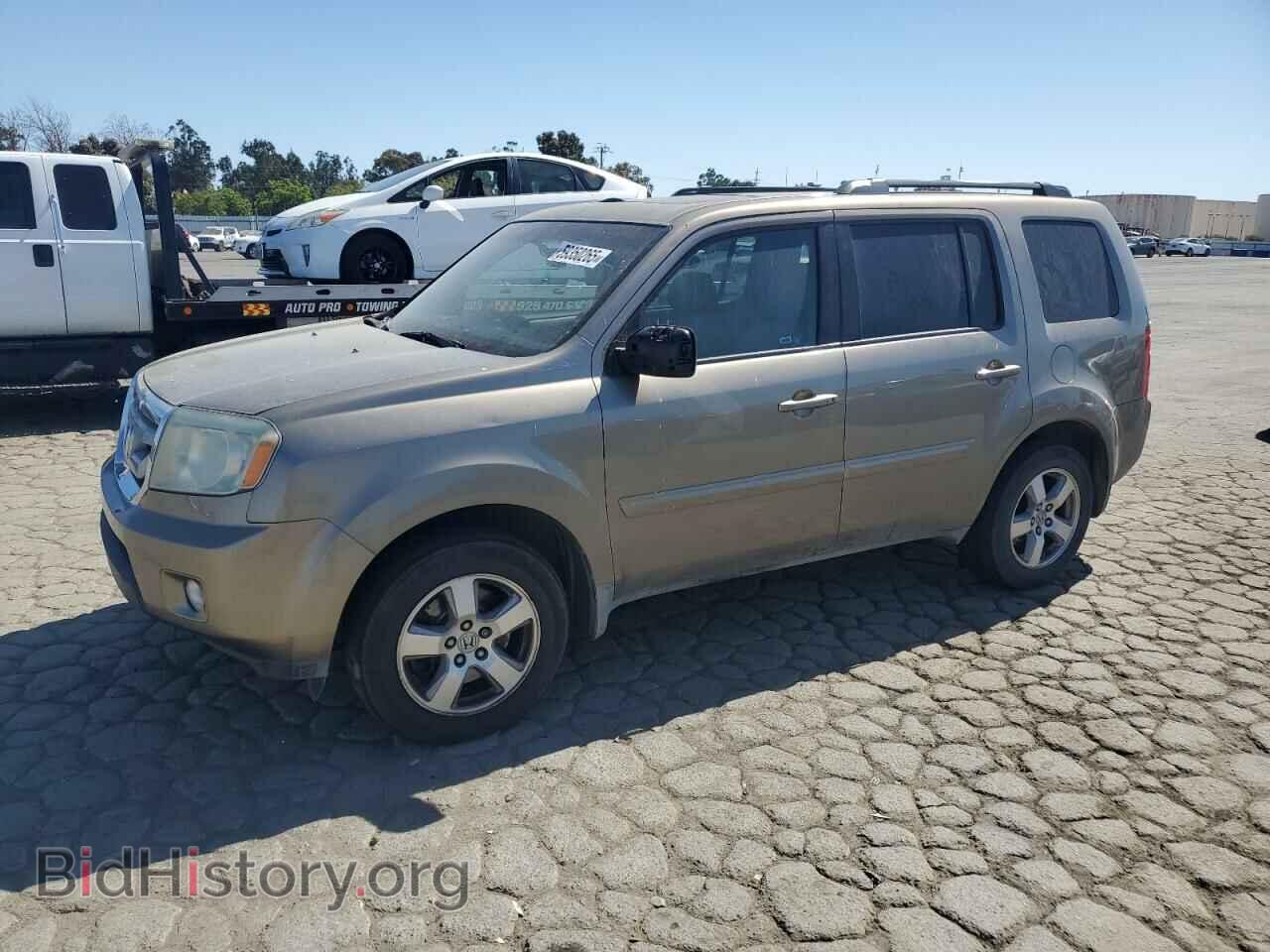 Фотография 5FNYF38559B012484 - HONDA PILOT 2009