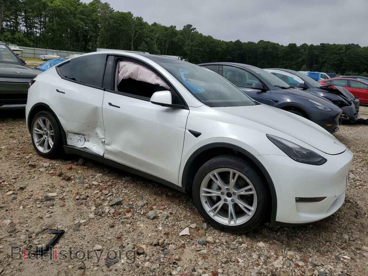 2023 TESLA MODEL Y - VIN: 7SAYGDEE6PF604497 - Фото 4