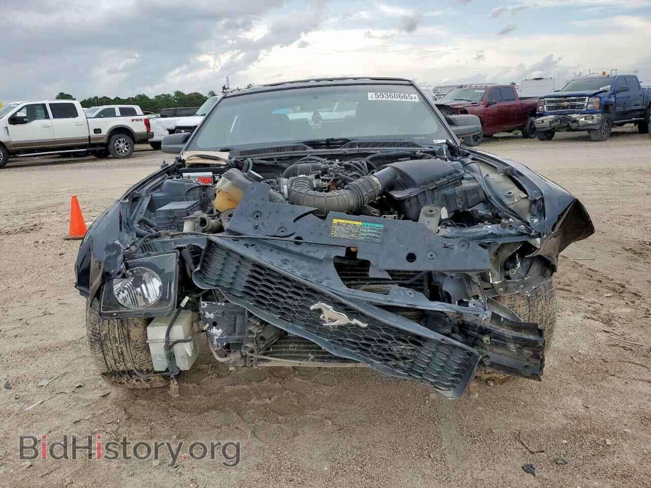 2005 FORD ALL Models - VIN: 1ZVHT84N155198321 - Photo 5
