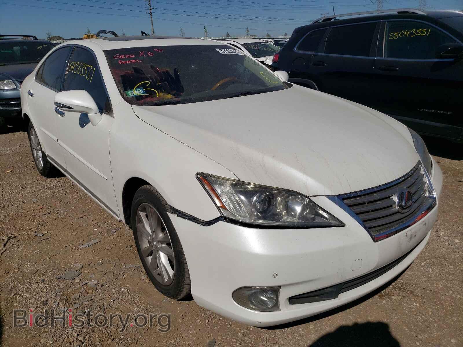 Photo JTHBK1EG8A2404005 - LEXUS ES350 2010