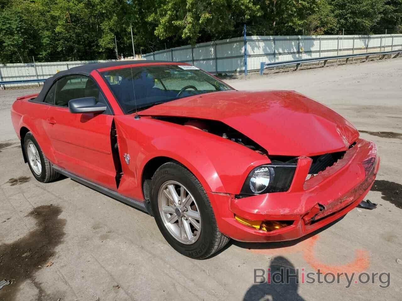 Photo 1ZVHT84N295132270 - FORD MUSTANG 2009