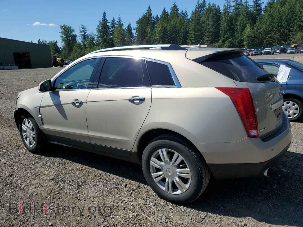 2010 CADILLAC SRX - VIN: 3GYFNAEY2AS650453 - Фото 2