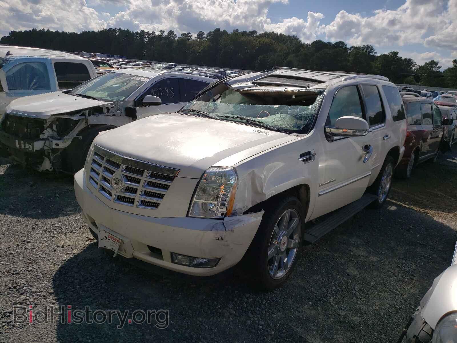 2010 CADILLAC ESCALADE - VIN: 1GYUCCEF8AR250049 - Фото 2