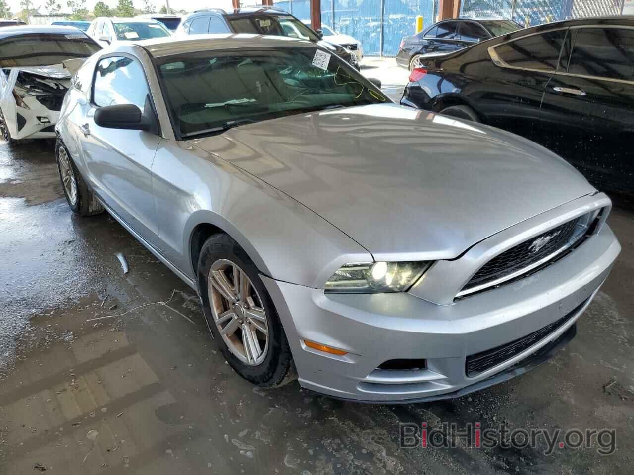 Photo 1ZVBP8AM1E5303512 - FORD MUSTANG 2014