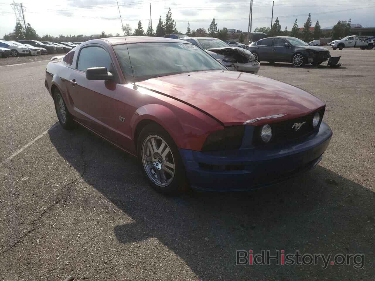 Photo 1ZVHT82H065177099 - FORD MUSTANG 2006