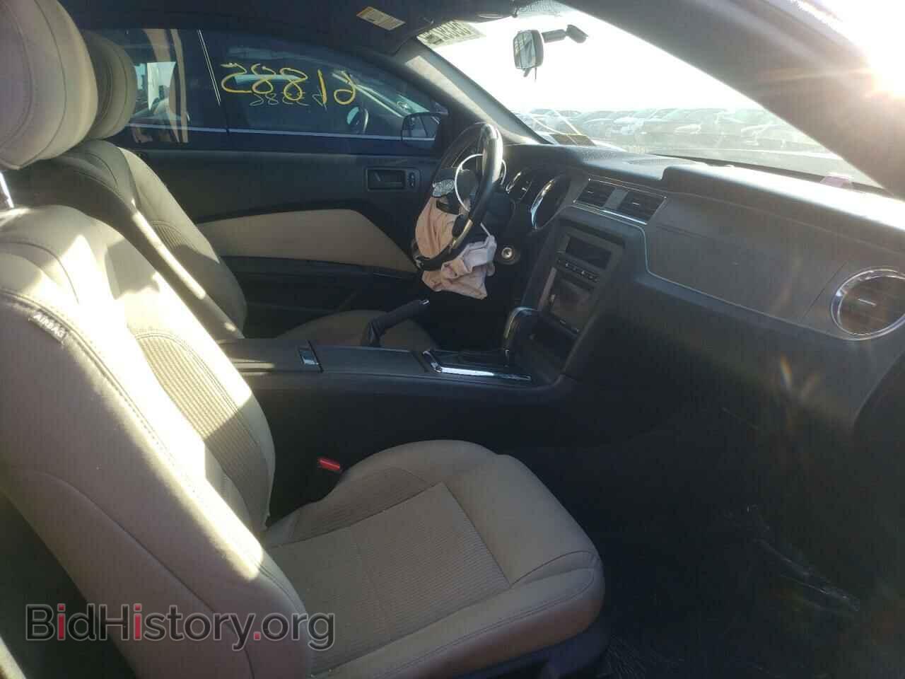 2013 FORD MUSTANG - VIN: 1ZVBP8AM8D5219640 - Фото 5