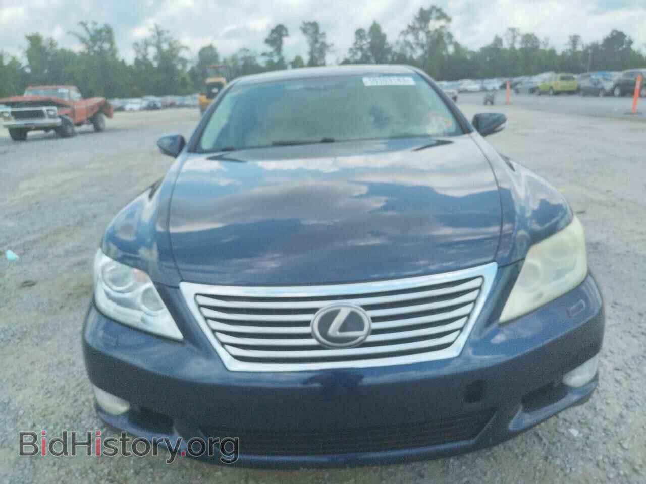 2011 LEXUS LS460 - VIN: JTHDL5EF1B5003027 - Фото 5