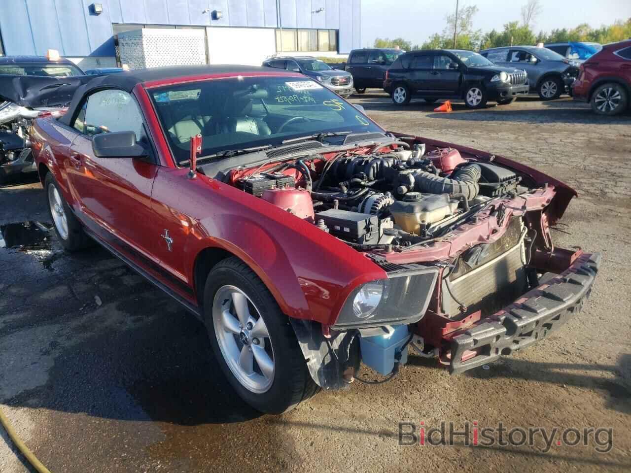 Photo 1ZVHT84N985198278 - FORD MUSTANG 2008