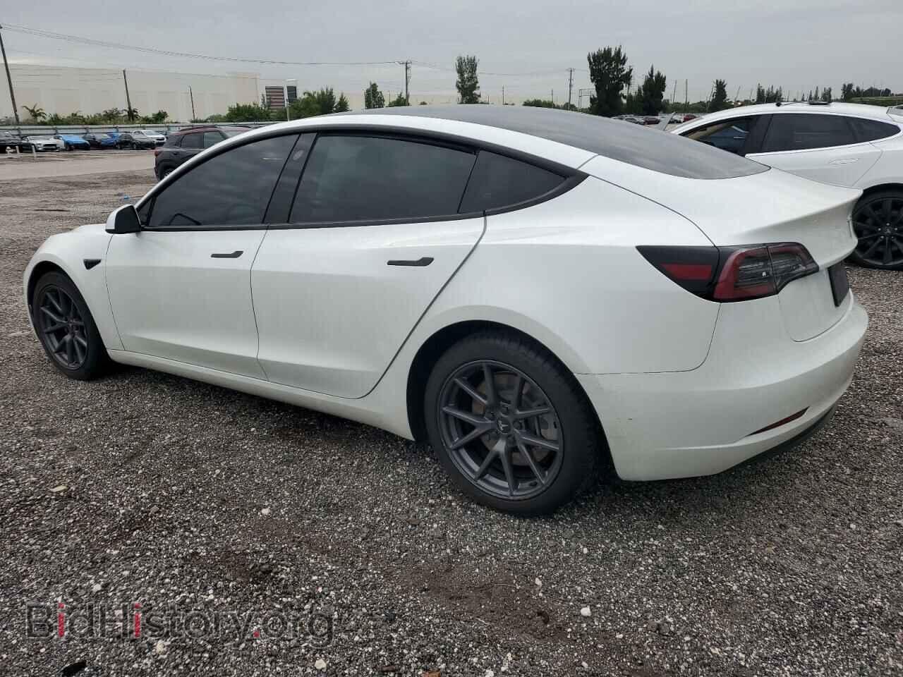 2023 TESLA MODEL 3 - VIN: 5YJ3E1EA6PF542107 - Photo 2