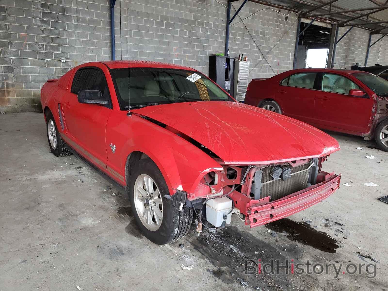 Photo 1ZVHT80NX95141479 - FORD MUSTANG 2009