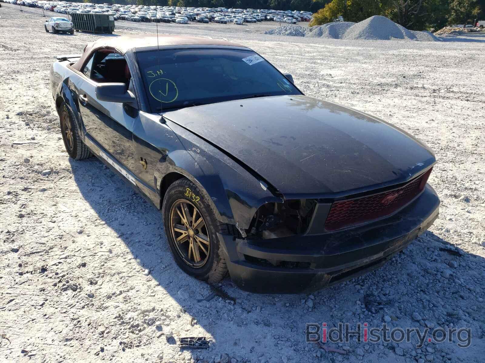 Photo 1ZVHT84N295118594 - FORD MUSTANG 2009