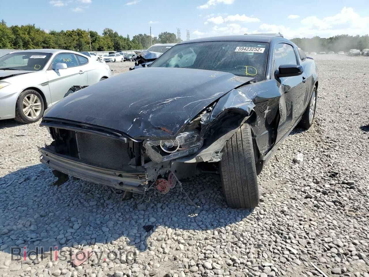 2014 FORD MUSTANG - VIN: 1ZVBP8AM1E5273458 - Фото 9
