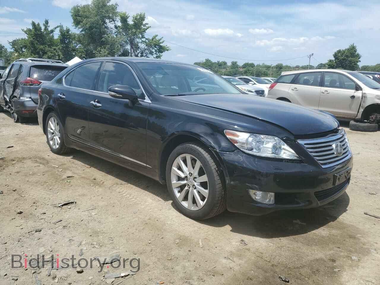 2011 LEXUS LS460 - VIN: JTHCL1EF0B5010782 - Фото 4